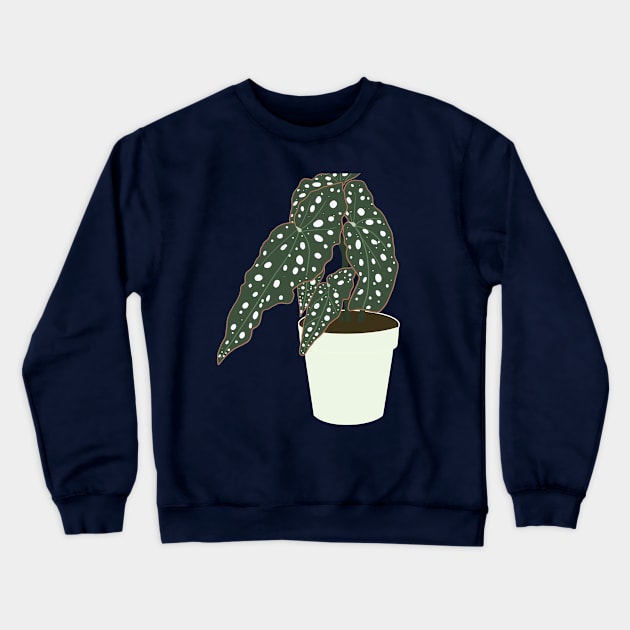 Begonia Maculata Plant – Mint Pot Crewneck Sweatshirt by Raquel’s Room